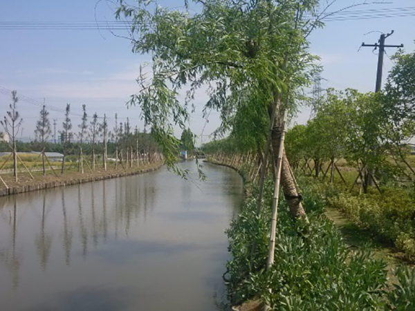 镇海区九龙湖镇庙根港河治理工程