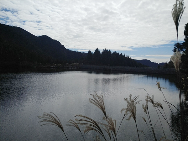 宁波四明山仰天湖水库