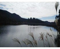 宁波四明山仰天湖水库
