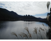 宁波四明山仰天湖水库
