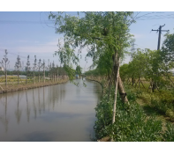 镇海区九龙湖镇庙根港河治理工程